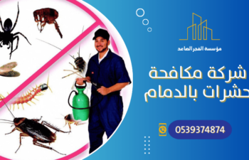 شركة مكافحة حشرات بالدامام