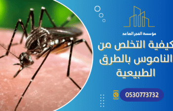 كيفية التخلص من الناموس في المنزل بالطرق الطبيعية