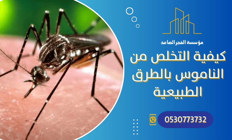كيفية التخلص من الناموس في المنزل بالطرق الطبيعية