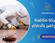 شركة مكافحة الصراصير بالدمام