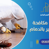 شركة مكافحة الصراصير بالدمام